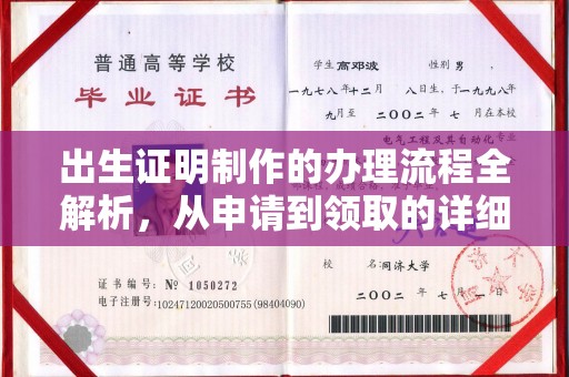 钟山出生证明制作的办理流程全解析，从申请到领取的详细指南